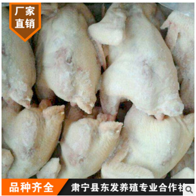 鸡肉批发冷冻 农家土鸡 白条鸡光鸡烧鸡用 煲汤用图3