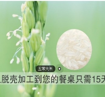 五常大米 稻花香二号 东北大米 现磨米 原产地发货图1