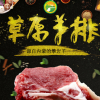 羊排 内蒙古草原生羊排羊肉 新鲜烧烤食材羊肋排火锅食材