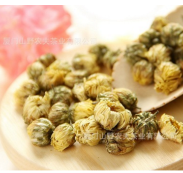 浙江桐乡头采散装批发胎菊王 新货散装胎菊 菊花茶 优质茶叶 花茶图2