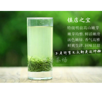 信阳毛尖图2