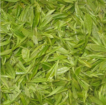 2017新茶 巢湖绿茶茶叶 手工茶原产地250g罐装散装图2