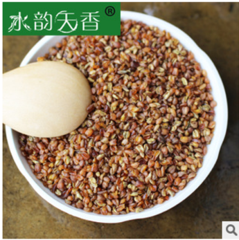 批发茶叶 西昌苦荞 苦荞茶散装 黑苦荞C#苦荞茶 全胚芽图1