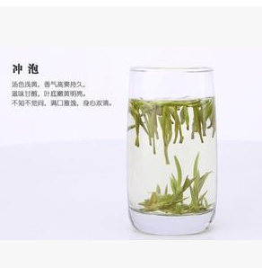 顶级福鼎白毫银针特级明前春茶叶2015新茶太姥山茶500g图2