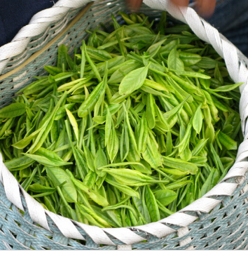 供应高山茶叶图2