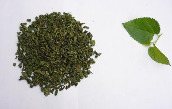 桑叶茶  5图3