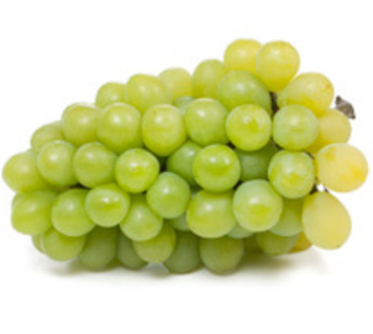 醉金香葡萄直销 优质新品种 葡萄果树苗 现货优惠