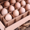 【散养土鸡蛋】【产品规格30枚包邮】【基地直供】天然初生蛋，