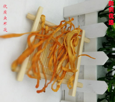 产地直供虫草花产地干货虫草花实体孢子头 分销代理会销加盟团购图3
