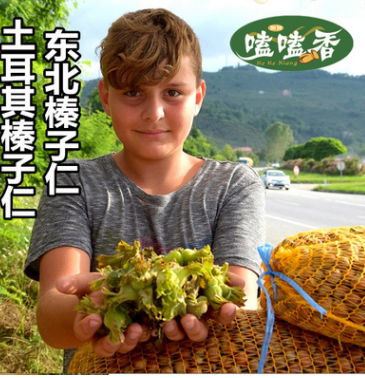 吉林长白山纯野生榛子仁 无添加纯天然 粒大饱满厂家批发图2