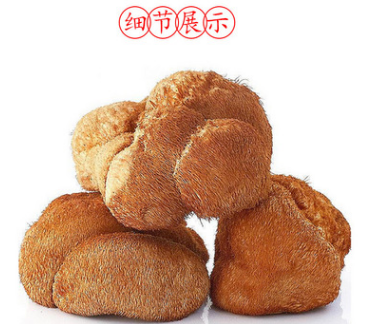 【2017】特产山货猴头菇干500g一件食用菌养胃产地基地图2