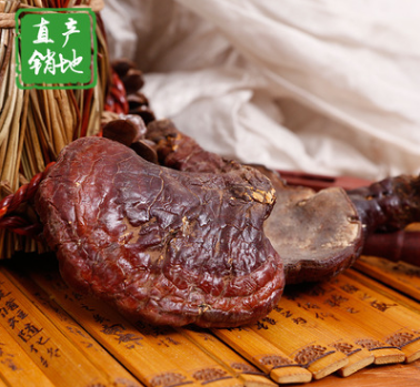 直销东北长白山野生红灵芝赤灵芝 传统滋补品精选优质灵芝批发图2