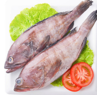 印度石斑鱼批发 冷冻石斑鱼海产品供应 海鲜产品黑猫鱼批发