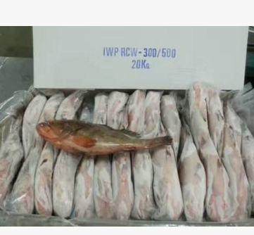 印度石斑鱼批发 冷冻石斑鱼海产品供应 海鲜产品黑猫鱼批发图2
