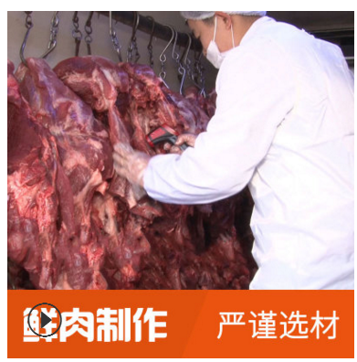 现货供应潮汕牛筋丸 新鲜肉制作汕头牛筋丸 冷冻火锅烧烤食材批发图3
