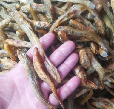 火焙棍子鱼鄱阳湖小干鱼野生淡水小鱼干干货沙沟鱼小鱼仔500g图2