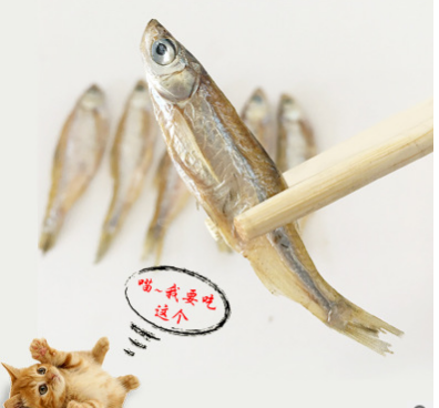 野生淡水鱼干猫咪零食小鱼干龟粮宠物零食仓鼠无盐小鱼干批发500g图2