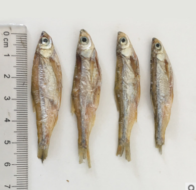野生淡水鱼干猫咪零食小鱼干龟粮宠物零食仓鼠无盐小鱼干批发500g图3