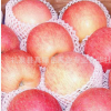供应苹果 陕西新鲜 红富士苹果批发 礼泉苹果批发 苹果直销产地
