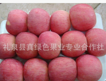 供应苹果 陕西新鲜 红富士苹果批发 礼泉苹果批发 苹果直销产地图3