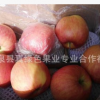 一件代发陕西苹果红富士农家苹果脆甜 产地礼泉 5斤/1箱18.8块钱