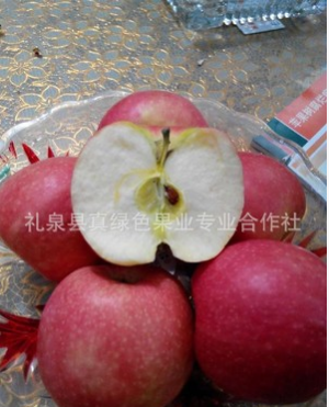 陕西苹果礼泉红富士 批发红富士苹果 陕西苹果（10斤一箱)