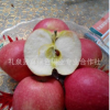 陕西苹果礼泉红富士 批发红富士苹果 陕西苹果（10斤一箱)