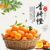 橙皇一件代发正宗赣南脐橙 新鲜水果甜脐橙 5斤装特价批发