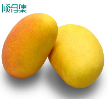 海南小台农8斤送1斤 芒果新鲜水果青芒香芒贵妃非大青芒一件代发图2
