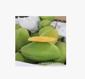 一件代发 越南玉芒越南青芒新鲜水果芒果青皮小香芒大青芒非贵妃图2
