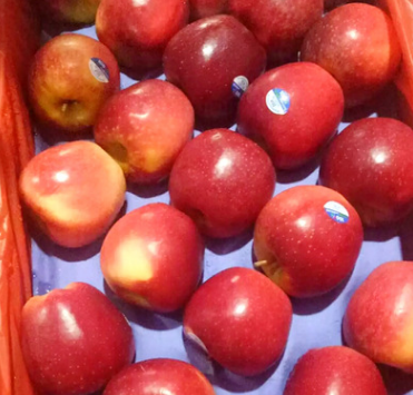 新西兰苹果红玖瑰苹果5斤包邮非冰糖心甜新鲜水果香脆一件代发