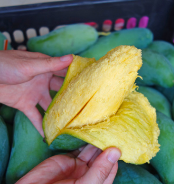 自然全精品田东桂七芒果广西百色香甜芒果产地批发10斤装一件代发图2
