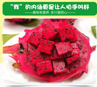 【5斤空运包邮】台湾蜜宝金都1号红心火龙果精品大果果园包邮一件图2