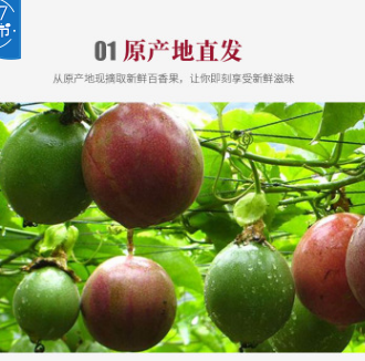 新鲜现摘黄金百香果5斤包邮 鸡蛋果满天星百香果西番莲一件代发图2