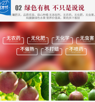 新鲜现摘黄金百香果5斤包邮 鸡蛋果满天星百香果西番莲一件代发图3