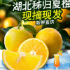 夏橙湖北秭归当季新鲜橙子水果5斤/10斤包邮批发 非伦晚脐橙