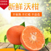 沃柑新鲜水果包装5斤8斤 四川桔子柑橘现摘先发绿色食品一件代发