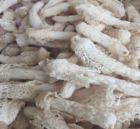 竹荪 贵州红托竹荪 竹参 特级质量 食用菌批发图1