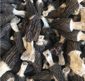 羊肚菌干货 产地直销 云南特产野生食用菌 特级质量图1