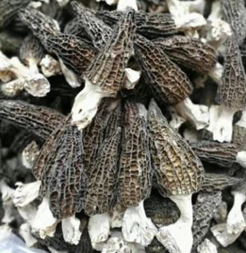 羊肚菌干货 产地直销 云南特产野生食用菌 特级质量图3