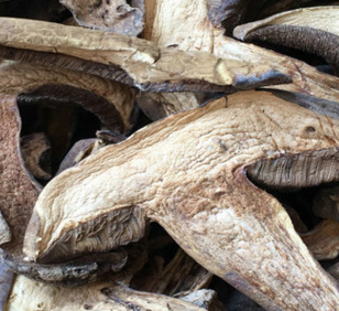 黑牛肝菌 小黑桃菌干货 云南野生菌批发 精选质量图2