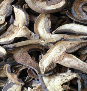 黑牛肝菌 小黑桃菌干货 云南野生菌批发 精选质量图3