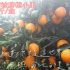 雷波脐橙小果基地批发 新鲜橙子8斤装 农产品水果现摘现卖