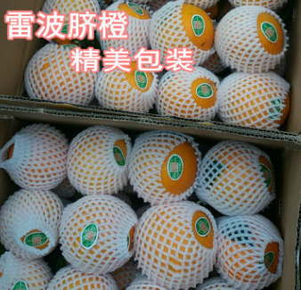 雷波脐橙10斤每盒 正宗四川特产脐橙橙子 现摘现卖基地直发图3