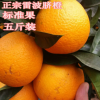 新鲜正宗雷波脐橙 标准大橙子基地批发5斤/盒 香甜橙子现摘现卖