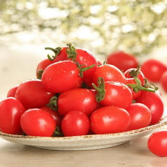 果蔬基地直销批发 诚详国产水果 新鲜无公害 圣女果 小番茄