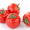 新鲜健康美味绿色有机无公害蔬菜西红柿 番茄 厂家直供大量批发销售