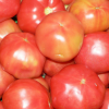 健康养生蔬菜 新鲜西红柿 无公害蔬菜 西红柿