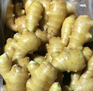 原生态优质生姜 专业供应原生态纯天然绿色新鲜蔬菜高品质食品图3