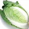 大量批发供应无公害绿色蔬菜大白菜 新鲜优质大白菜 质优价惠